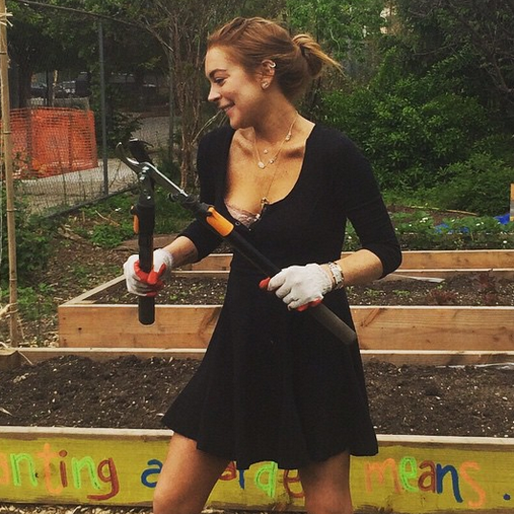 Lindsay Lohan gör sin samhällstjänst. Lindsay Lohan gör sin samhällstjänst.